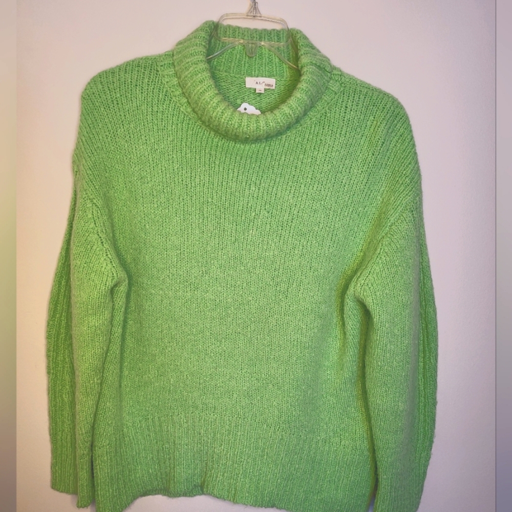 ALC Revolve Size XS Nelson Mock Neck Oversized City Sweater Green Long S…